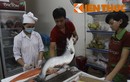 Xem xẻ thịt cá hồi Na Uy đắt đỏ tại Hà Nội
