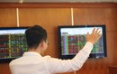 BSC: VN-Index có thể hướng tới 1.300 điểm, dòng tiền khối ngoại hỗ trợ tích cực