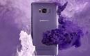 Sự chuyển đổi màu sắc mặt lưng của Galaxy S8+ tím khói