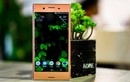 Cận cảnh Xperia XZ Premium phiên bản màu hồng