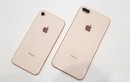 Soi điểm yếu khiến iPhone 8/8 Plus vừa ra mắt đã bị “ném đá“