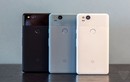 Ảnh nóng Google Pixel 2 và Pixel 2 XL vừa ra mắt