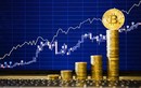 Dự báo sốc về Bitcoin: Chạm đỉnh 10.000 USD vào 2018