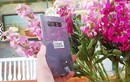 Ngắm Galaxy Note8 màu tím khói hút hồn phái đẹp