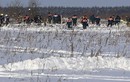 Tìm thấy hơn 200 mảnh thi thể tại khu vực máy bay rơi ở Nga