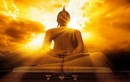 Lời Phật dạy: Tiền tài danh vọng của con người từ đâu mà tới?