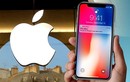 Apple quyết định sẽ không có iPhone 11