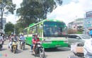 Thêm 2 tuyến xe buýt ở Sài Gòn ngừng hoạt động vì vắng khách