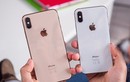 iPhone Xs và iPhone Xs Max thắng lớn tại Mỹ