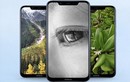 Nokia X7 được phát hành trên toàn thế giới với tên gọi Nokia 8.1