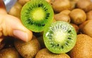 Cận cảnh kiwi rừng giá “bèo” chị em tranh nhau mua