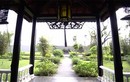Mãn nhãn biệt thự vườn nghìn mét vuông của sao Việt