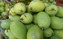 6 loại trái cây Việt được vào thị trường Mỹ "khó tính"