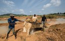Tận mục nghề “săn” kim cương thủ công ở châu Phi