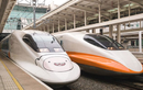 Thẩm định dự án đường sắt cao tốc Bắc-Nam: Thủ tướng lập Hội đồng