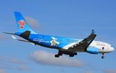 Giòi trên máy bay: Phát hiện "vật lạ" trong đồ ăn hãng China Southern Airlines