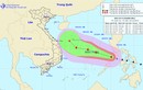 Sai phạm tài chính tại Cao đẳng Y tế Khánh Hòa: Lạm thu hàng chục tỷ để Hiệu trưởng “đi ngoại giao”