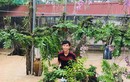 Mãn nhãn vườn lan "khủng" trị giá tiền tỷ của các 9X Việt