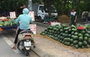 Hoa quả nhập nhèm xuất xứ, giá rẻ "giật mình" tràn lan vỉa hè Hà Nội