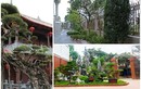 Đại gia Việt "chơi lớn", xây sân vườn bên trong biệt thự như tiên cảnh