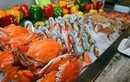 Bí quyết ăn buffet không lo bị lỗ