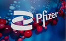 Nóng: Pfizer công bố thuốc viên trị Covid-19 “hiệu quả 89%“