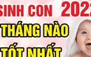 Sinh con năm Nhâm Dần 2022 tháng nào vượng nhất, tương lai trẻ làm quan? 