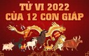 Tháng xui xẻo của 12 con giáp trong năm Nhâm Dần 2022: Tránh làm đại sự