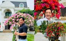 Mãn nhãn vườn hoa rực rỡ trong biệt thự mới của Quang Tèo