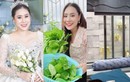 Hé lộ căn nhà chục tỷ sau kết hôn của Hồ Bích Trâm