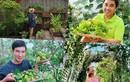 “Hệ sinh thái” mướt mắt trong biệt thự trăm tỷ của sao Việt