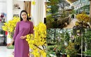 Cận cảnh biệt thự 10 tỷ ngập hoa từ cổng của Trịnh Kim Chi