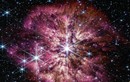 NASA công bố ảnh chụp ngôi sao bên bờ vực "sắp chết"