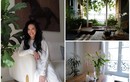 Bên trong căn nhà ở Pháp lãng mạn của diva Hồng Nhung 