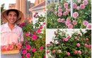 Mãn nhãn vườn hồng rực rỡ trong biệt thự của MC Quyền Linh 
