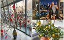  Không gian đón Tết ngập hoa tươi của siêu mẫu Hà Anh 