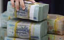 Những đại gia Việt sở hữu kho tiền lên tới cả tỷ USD