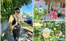 Cận cảnh biệt thự ngập tràn hoa lá của Hồng Đào tại Mỹ
