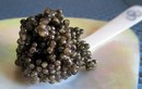 Lý do gì khiến trứng cá Caviar đắt bậc nhất hành tinh? 