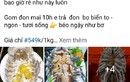 Thực hư bọ biển siêu rẻ