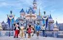 Vì sao không máy bay nào được phép bay qua công viên Disneyland?