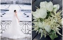 Hoa cưới Midu dùng trong lễ cưới riêng tư đắt cỡ nào?