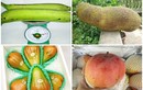 5 loại quả khổng lồ “làm mưa làm gió” thị trường Việt 