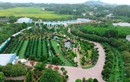 Vườn cây cảnh “ngốn cả núi tiền” của đại gia Thái Nguyên 