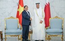 Toàn văn thông cáo chung Việt Nam - Qatar