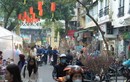 Chợ hoa Tết Hàng Lược người bán kẻ mua tấp nập