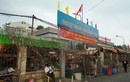 Chợ hoa lớn nhất Hà Nội nhộn nhịp ngày giáp Tết