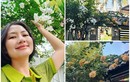 Ngôi nhà xinh xắn ngập sắc hoa của diễn viên Ngọc Lan