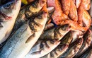 5 loại cá “bẩn nhất chợ” rẻ mấy cũng không nên mua