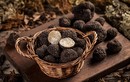 Tận mục loại nấm hơn 2 tỷ đồng/kg phải thuê chó săn tìm 